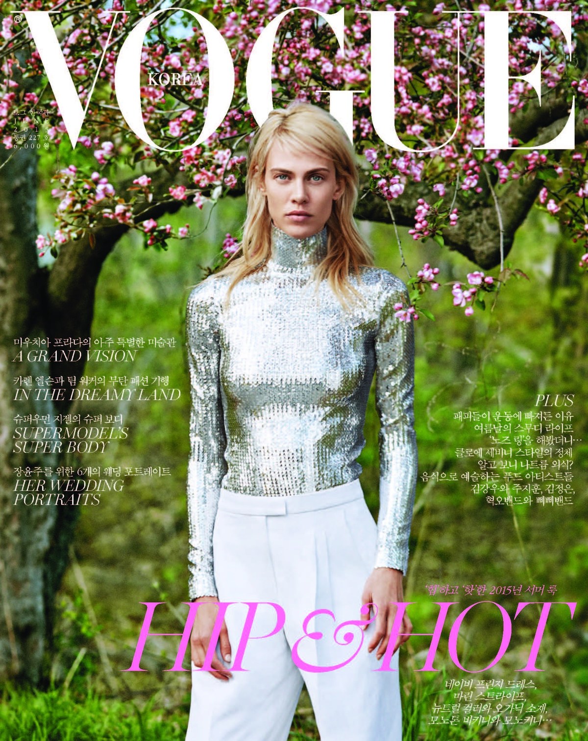 Vogue korea june 2015 cover
